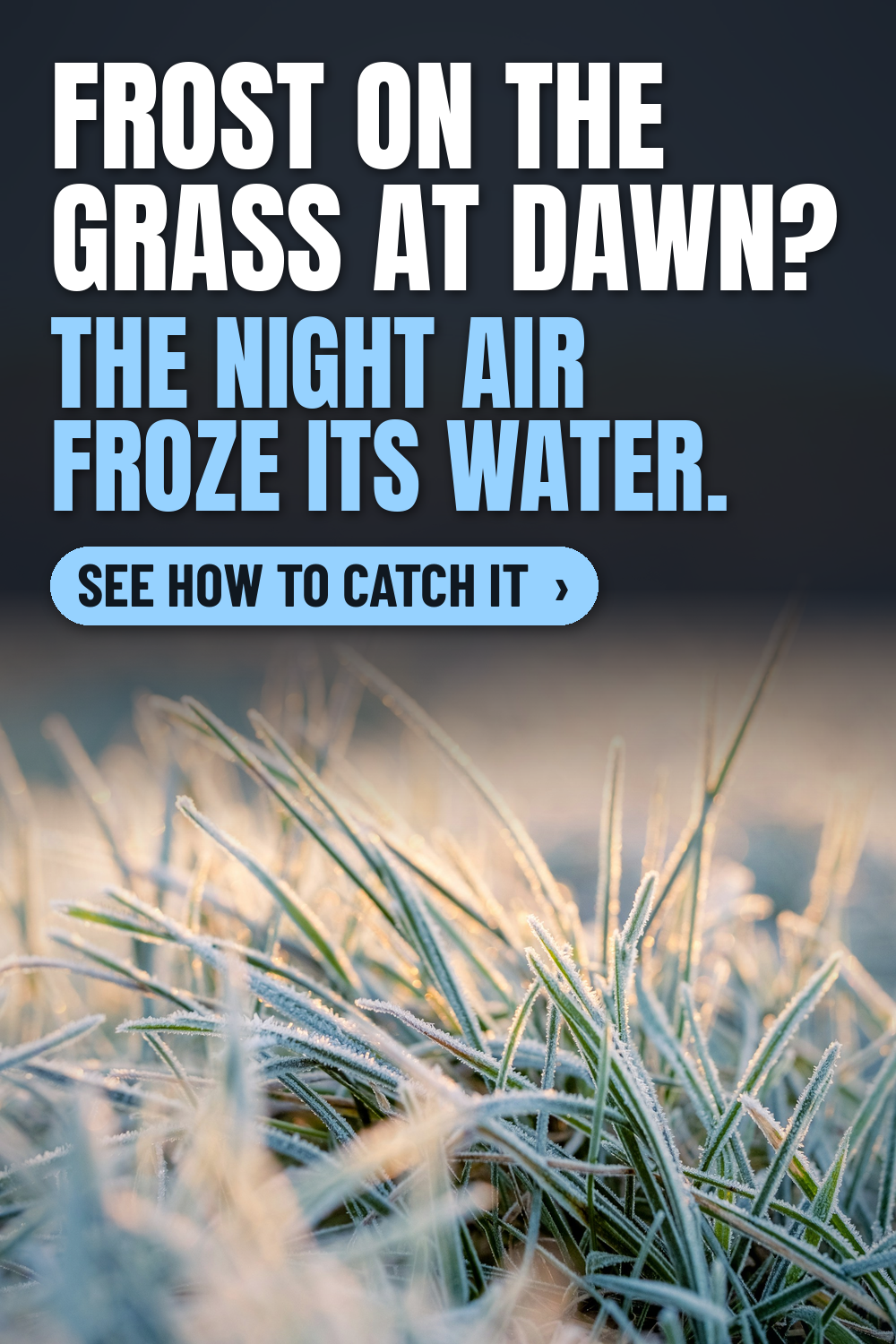 Off grid water system winter tip: close-up of frost-covered grass blades glowing in soft sunrise light, with the words Frost on the grass at dawn? The night air froze its water.